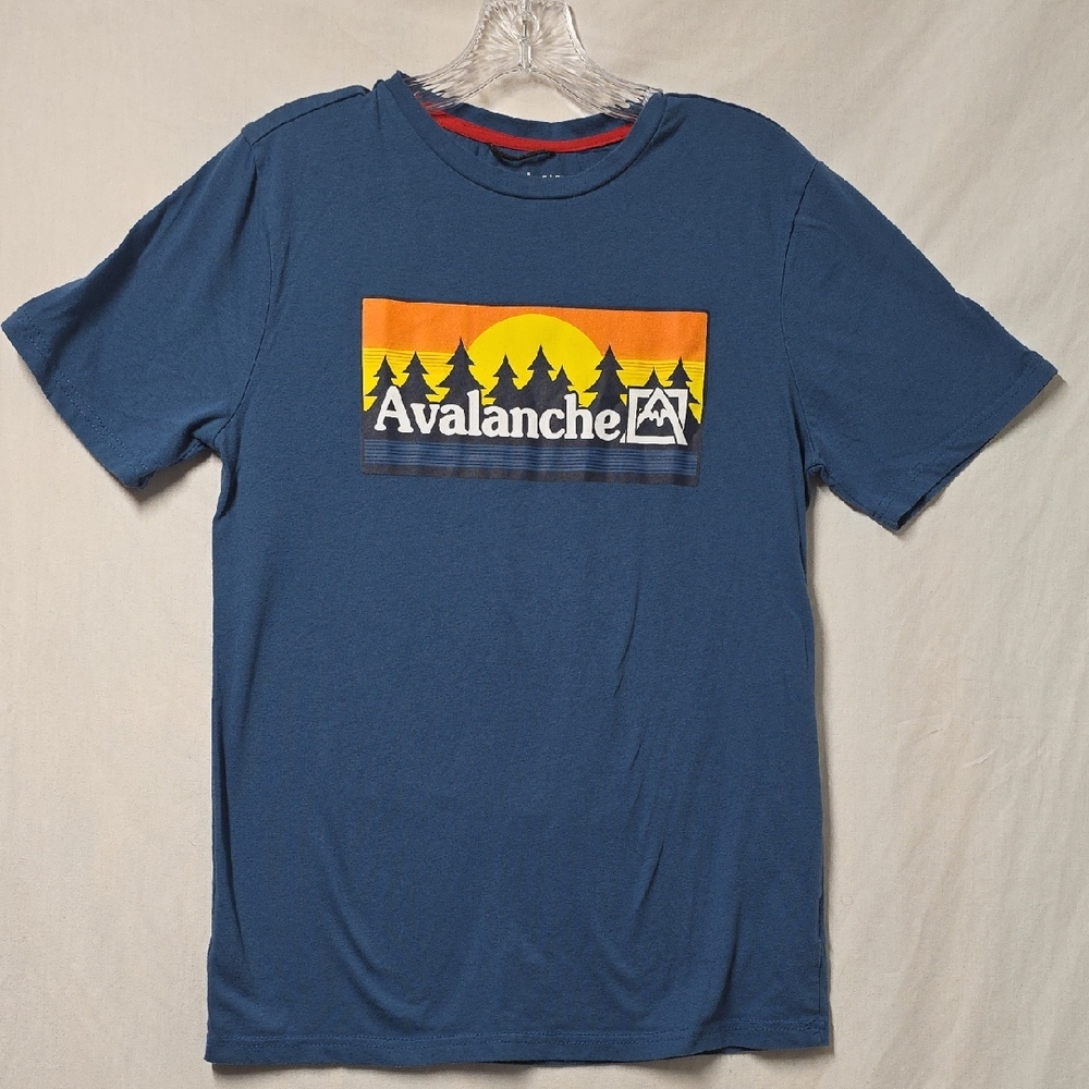 Avalanche Men's Blue Graphic T-Shirt Size Small
